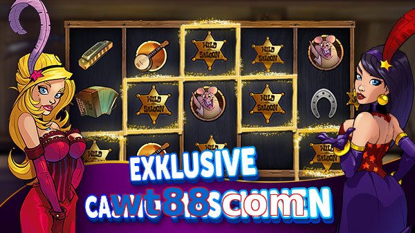 wt88 com