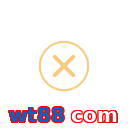 wt88 com
