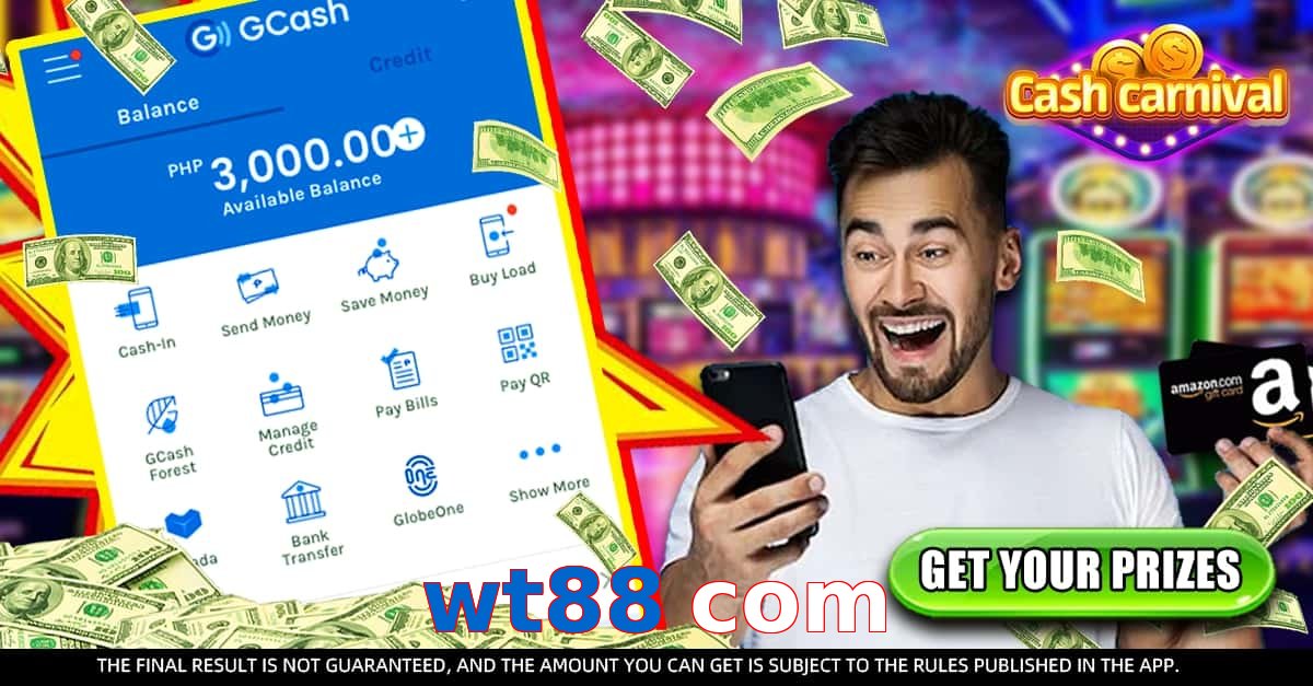 wt88 com
