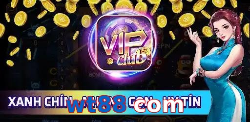 wt88 com