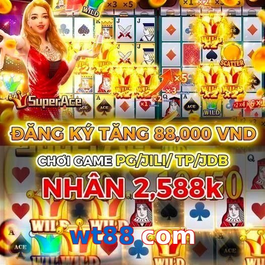 wt88 com
